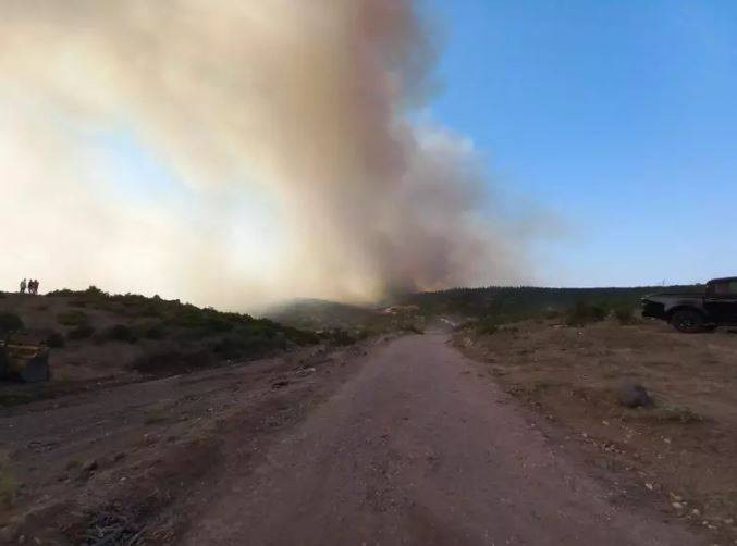 Balıkesir'deki orman yangını kontrol altına alındı - Resim: 4